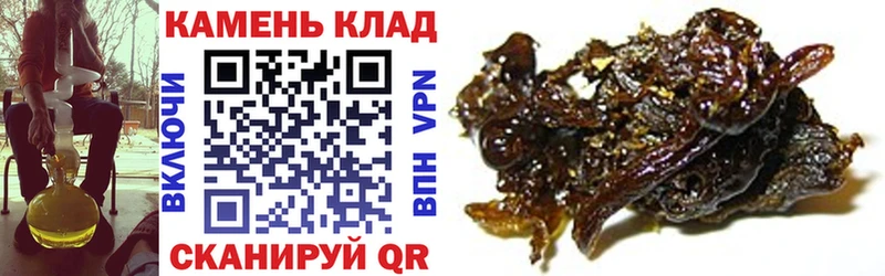 Гашиш Cannabis Козьмодемьянск
