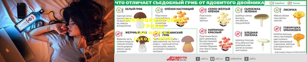 спиды Гусиноозёрск
