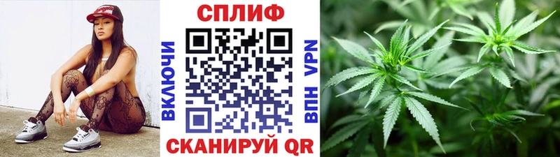 Канабис сатива  Купить  Козьмодемьянск 